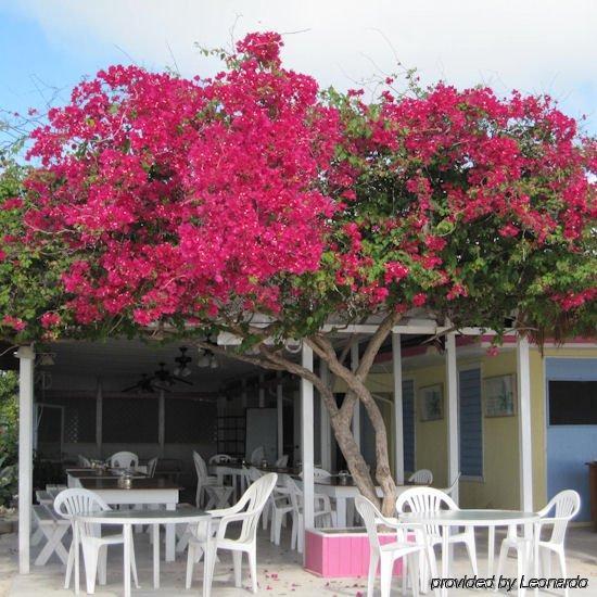 Anegada Reef Hotel The Settlement Restaurante foto