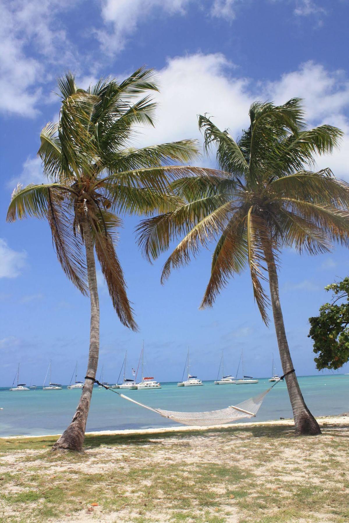 Anegada Reef Hotel The Settlement Exterior foto